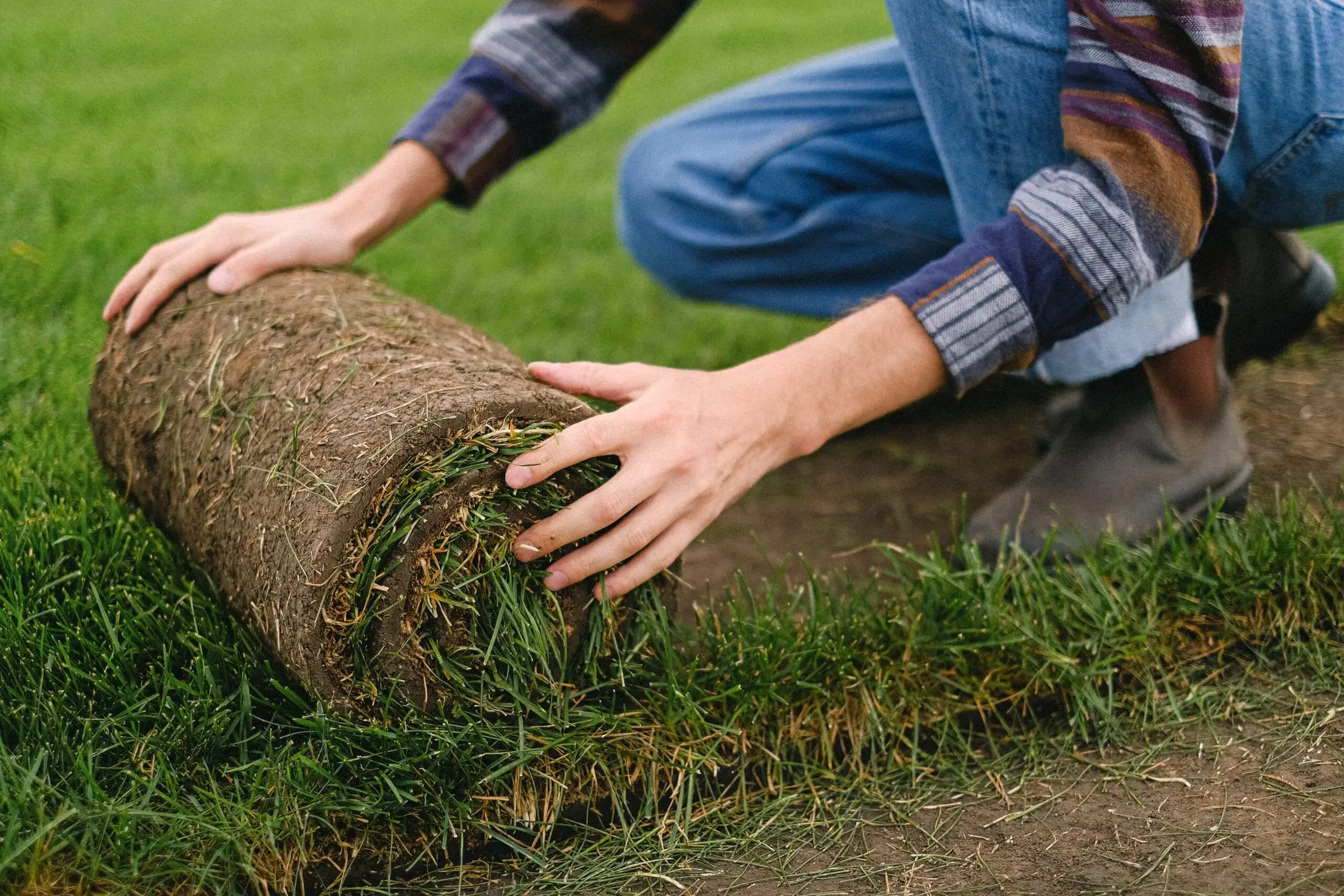 person laying a roll of sod