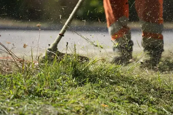 Guy weed eating a yard